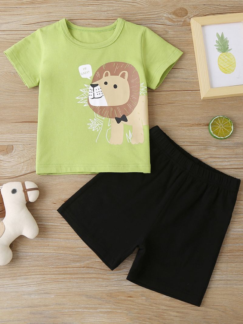 Baby Gutter Casual Tegneserie Løvetrykk T-skjorte Og Solid Shortssett