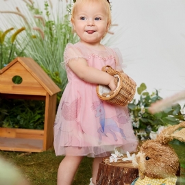 Baby Jenter Elegant Cute Mesh Princess Dress With Unicorn Print For Birthday Party Rosa