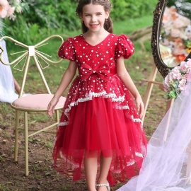 Flower Fluffy Princess Dress For Jenter