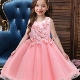Jenter Princess Fluffy Mesh Broderte Elegante Casual Dresses