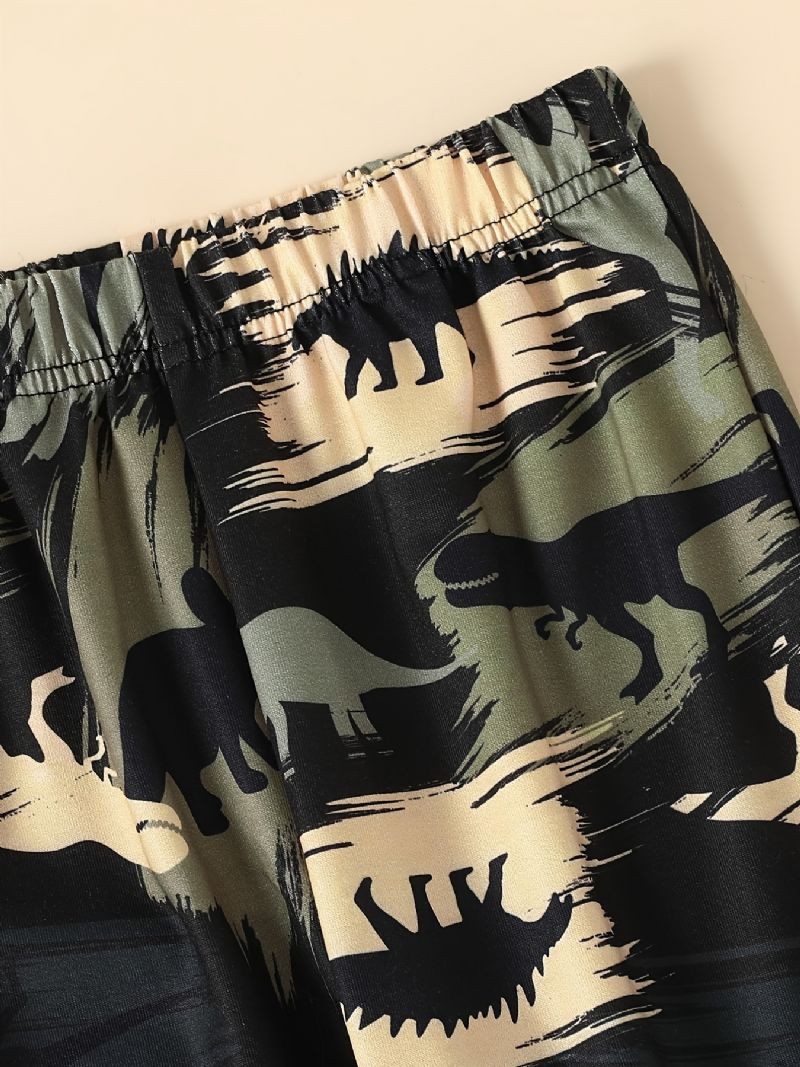 2 Stk Gutter Casual Søt Dinosaur Print Stitching Hettegenser & Joggebukser Til Vinter